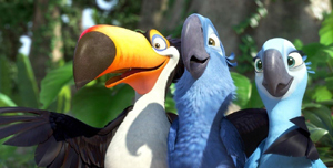 �������� ���